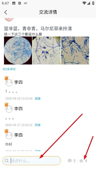 ����ʶ�������ֻ���