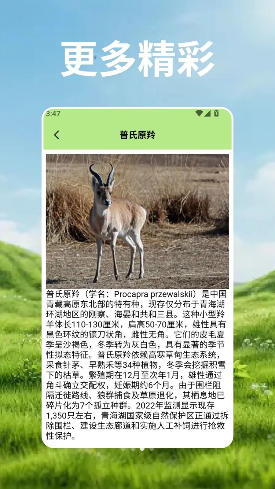 ��Ⱥ�Ŀ�ѧ��2026�ٷ����°汾v2.2 �ٷ������ͼ
