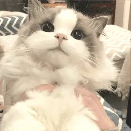 �δ����ǽ(�����Ż���ȫ����)