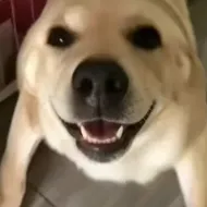 �󹷽���Ϸ������ư������ֻ���