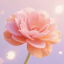 үү�İٲ��û���(�ʻ�����Ӧ��)
