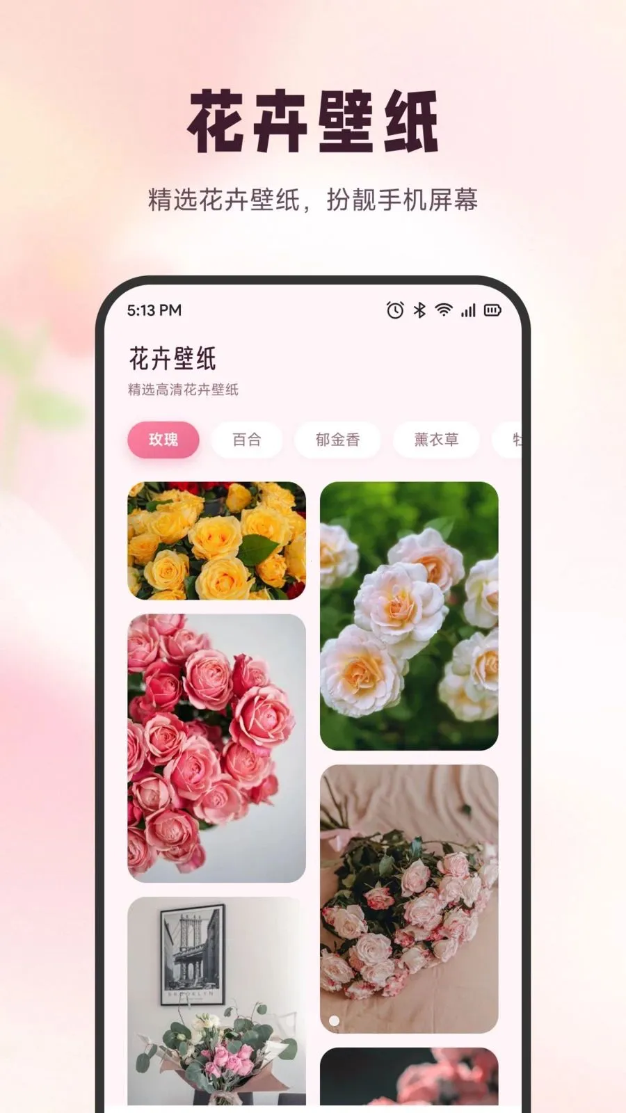 ѩ�ڻ���2026���°汾v1.6 �ٷ������ͼ